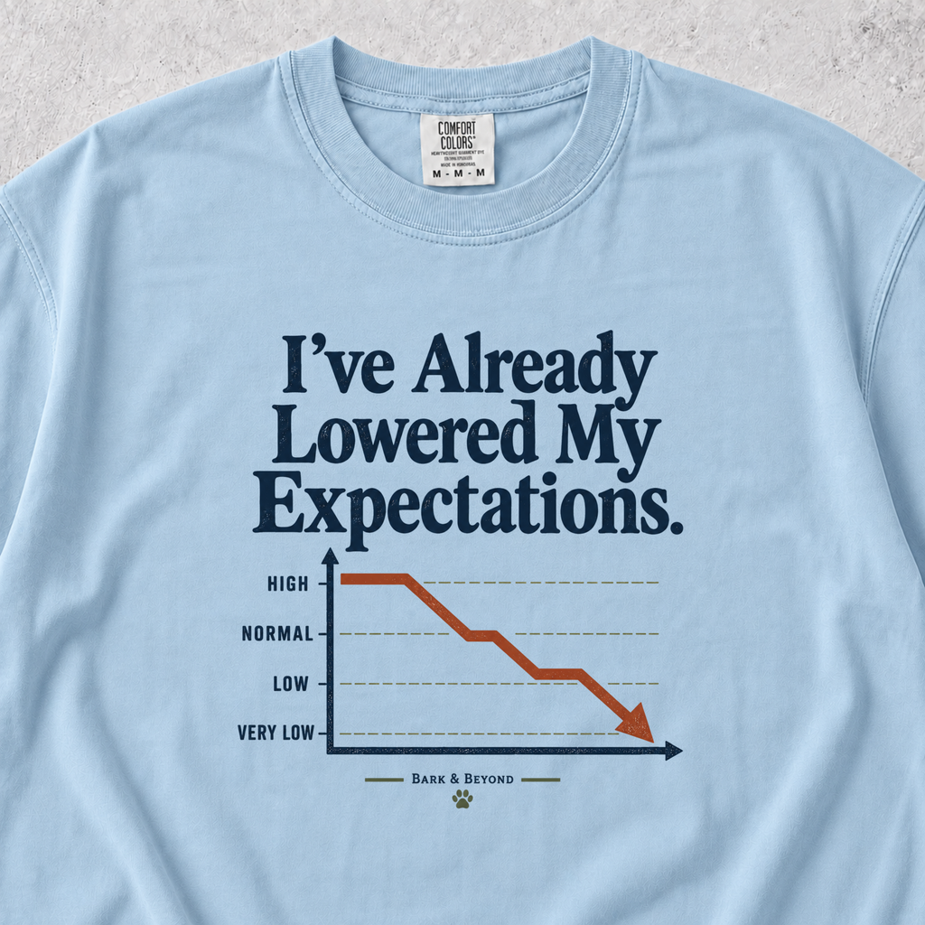 I've Already Lowered My Expectations T-shirt