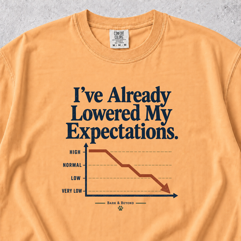 I've Already Lowered My Expectations T-shirt