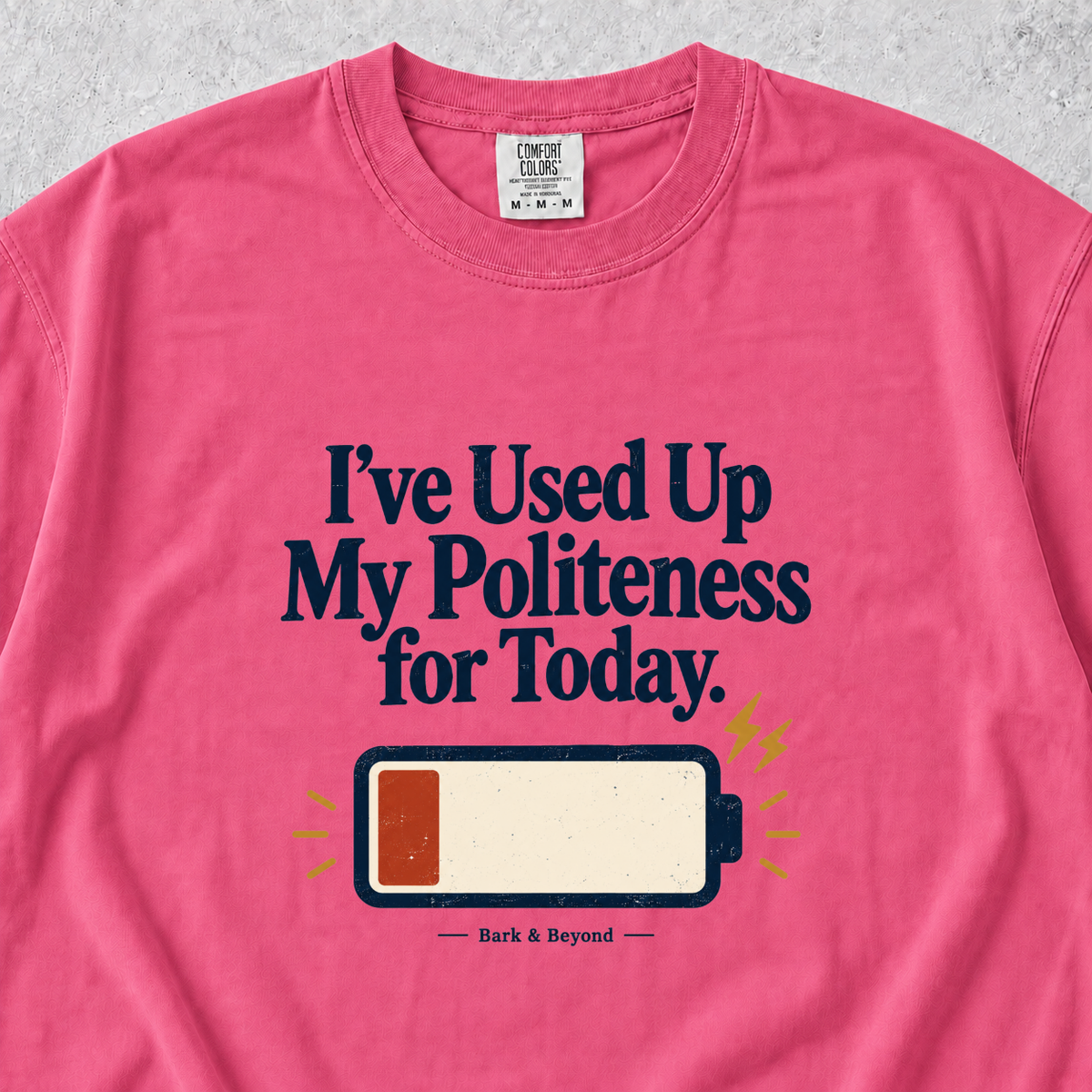 Used Up My Politeness T-shirt