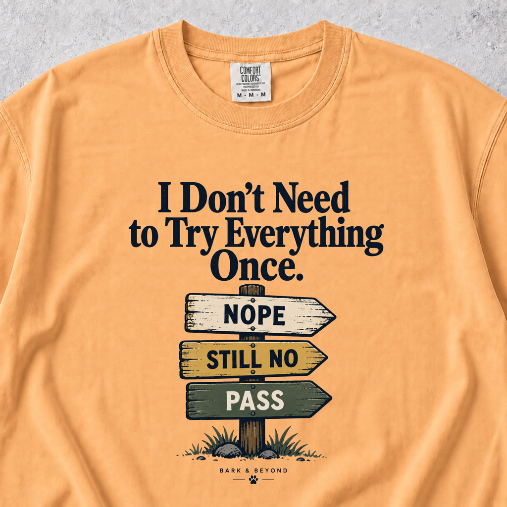 I Don't Need to Try Everything T-shirt