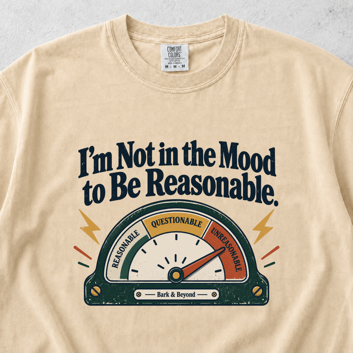 Not in a Mood T-Shirt
