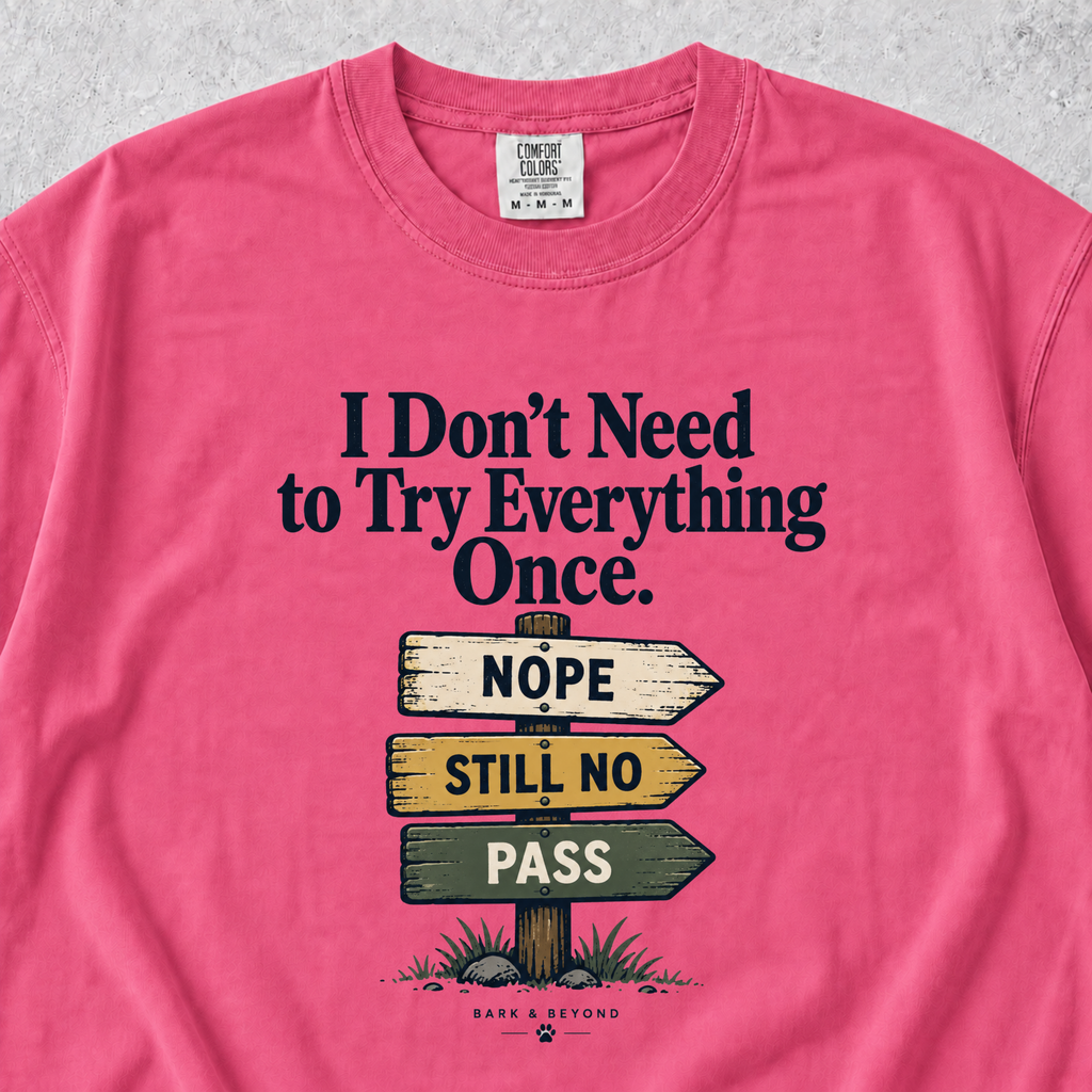 I Don't Need to Try Everything T-shirt