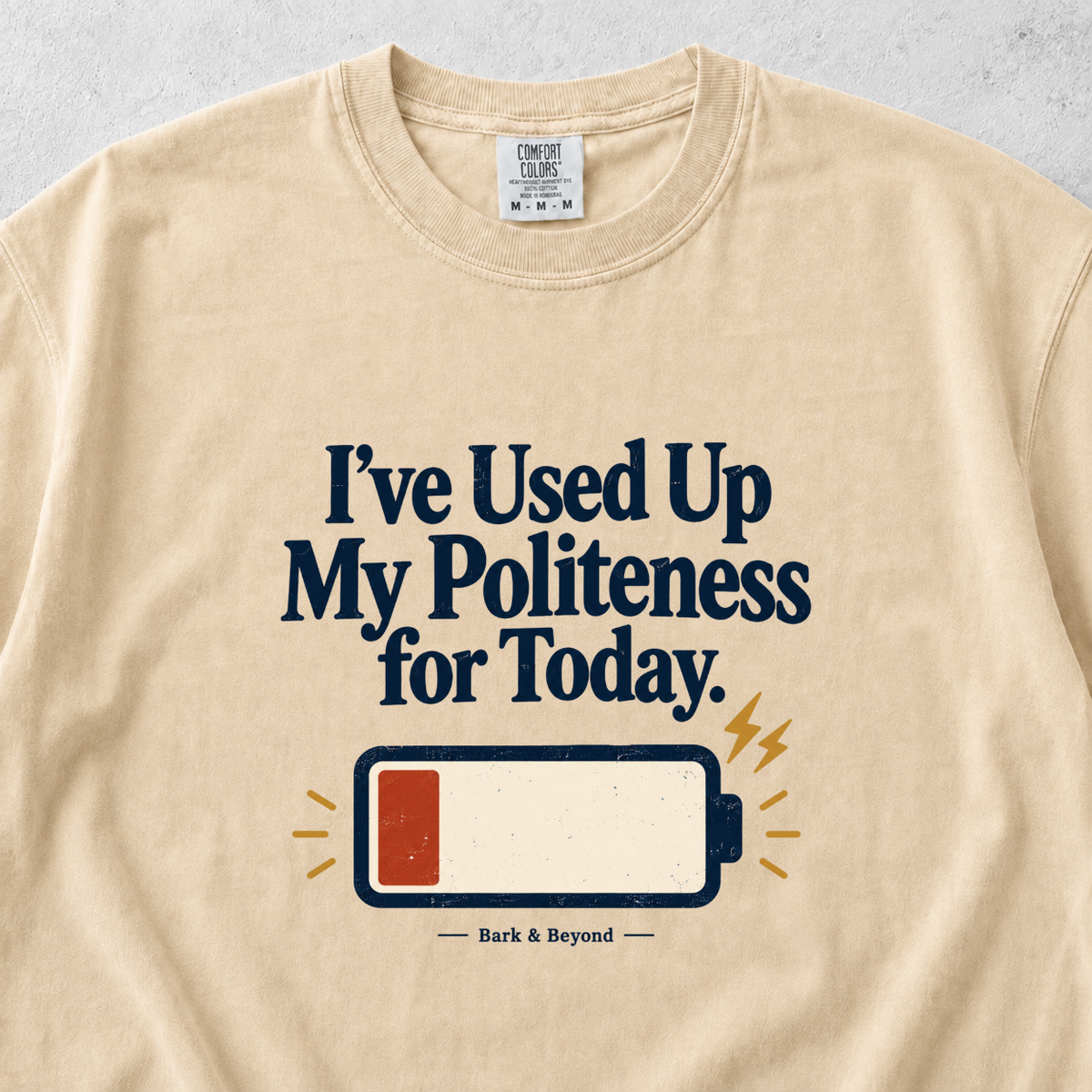 Used Up My Politeness T-shirt