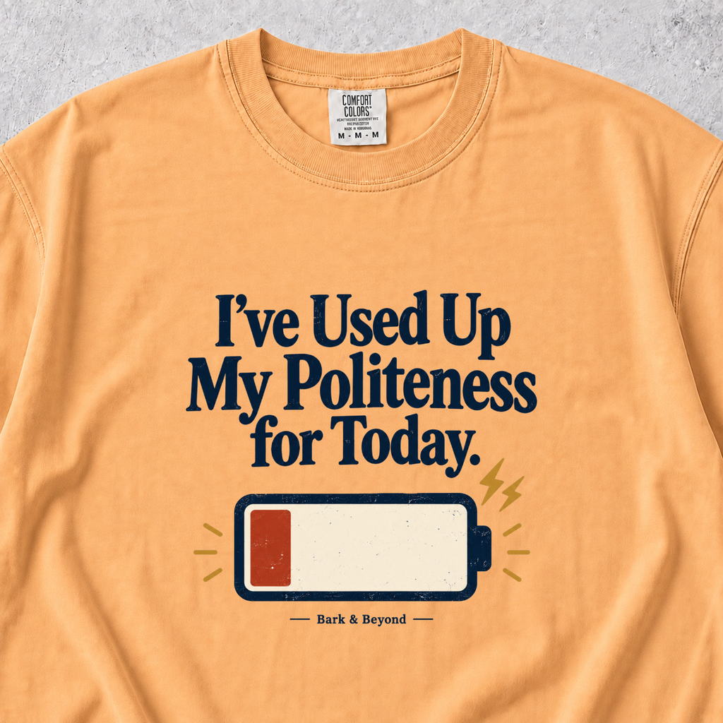 Used Up My Politeness T-shirt