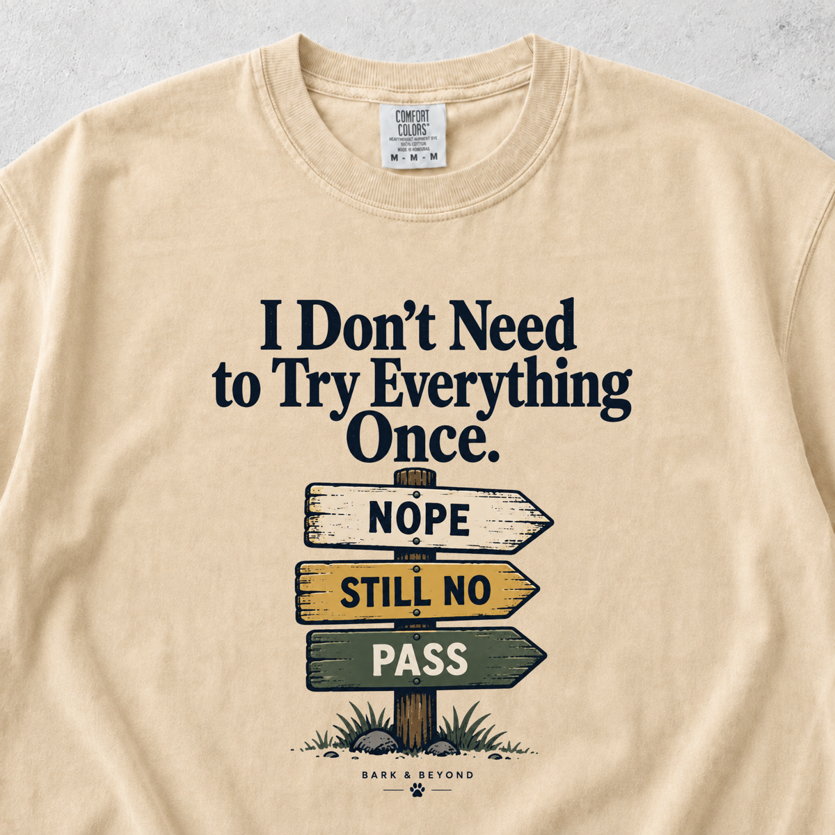I Don't Need to Try Everything T-shirt
