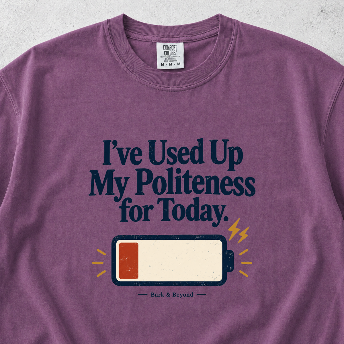 Used Up My Politeness T-shirt