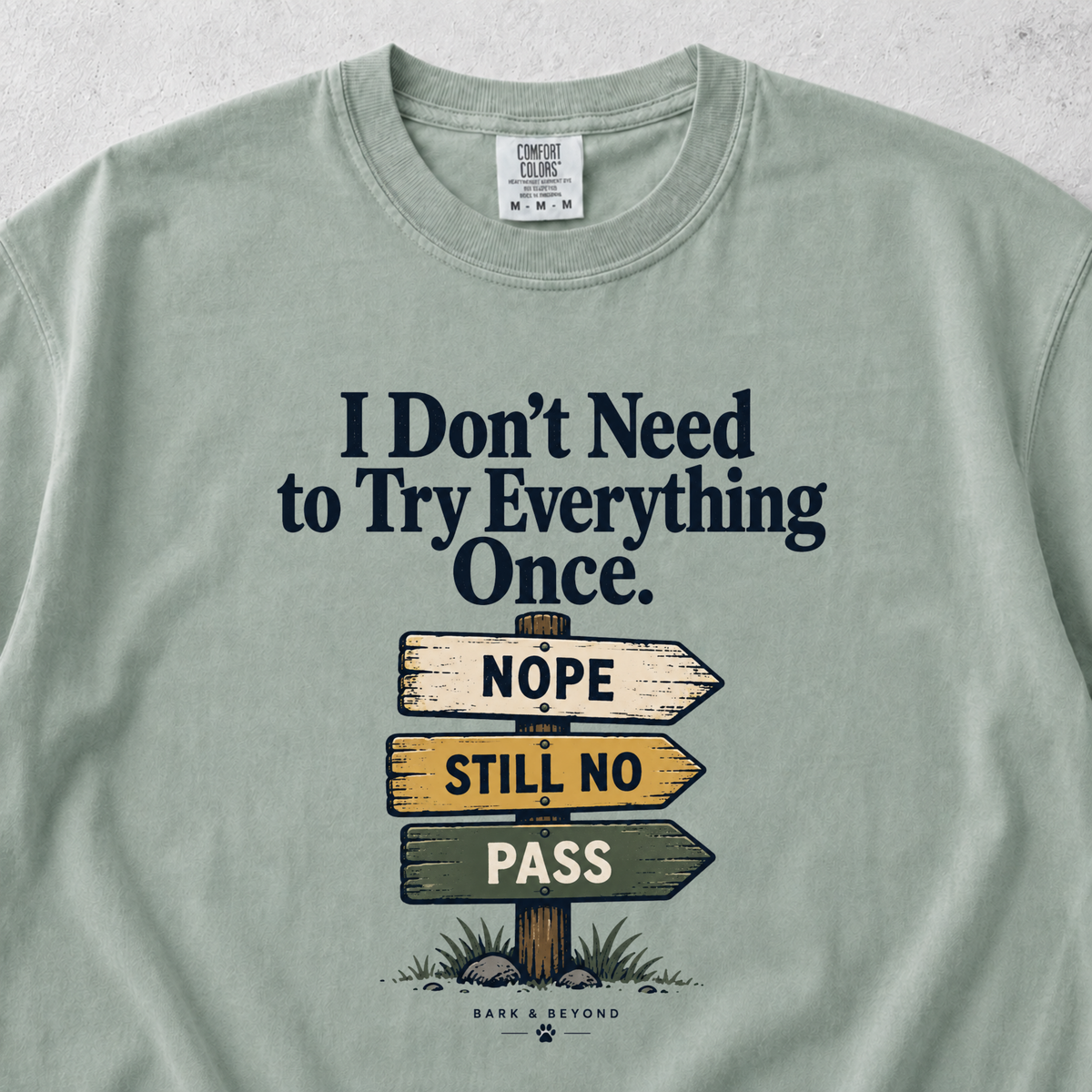 I Don't Need to Try Everything T-shirt