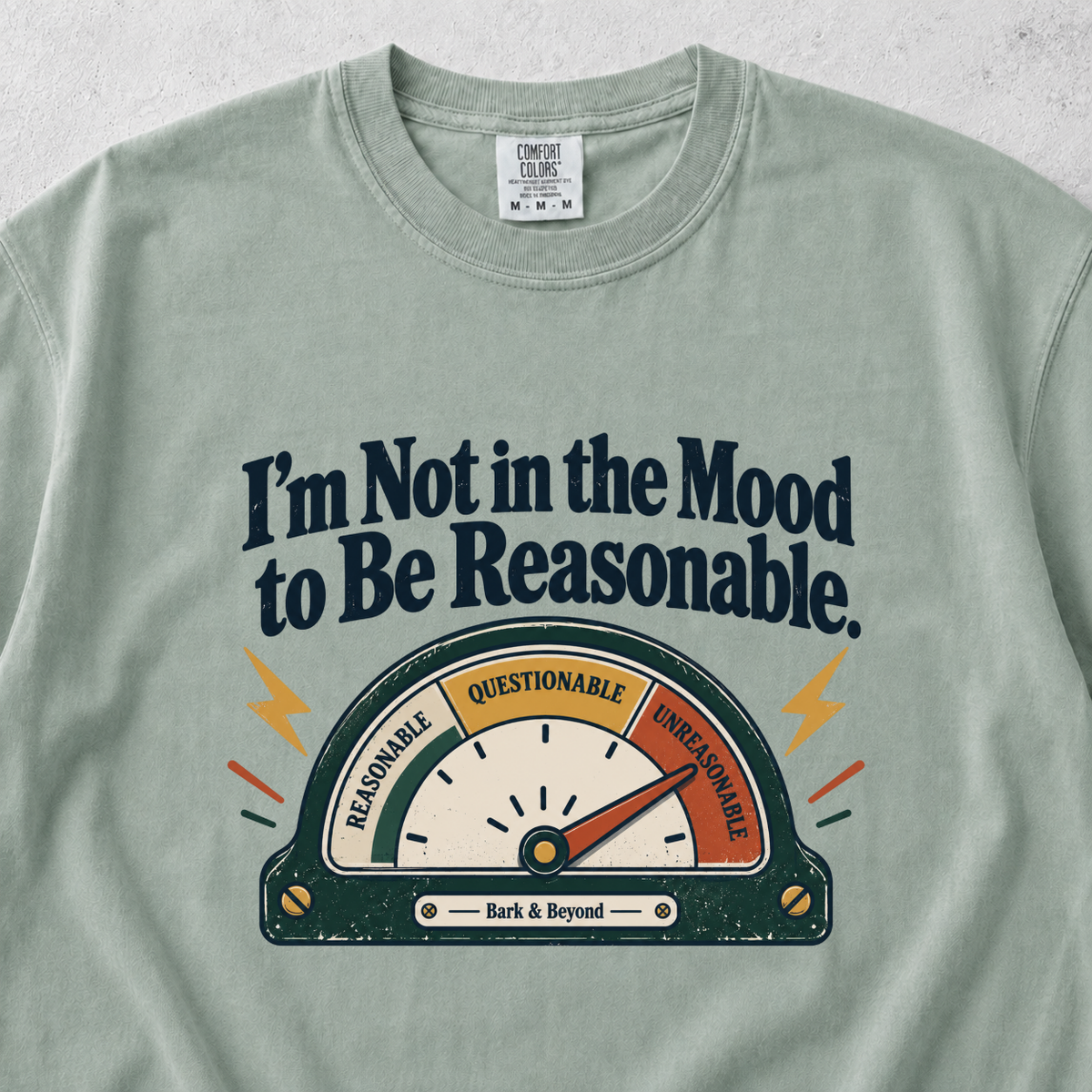Not in a Mood T-Shirt