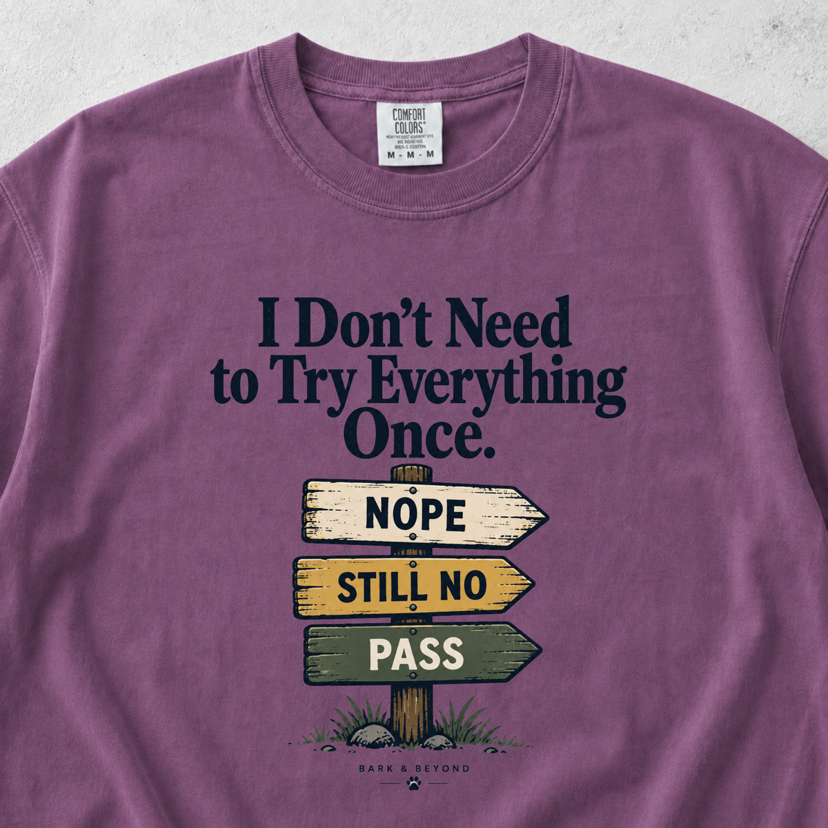 I Don't Need to Try Everything T-shirt