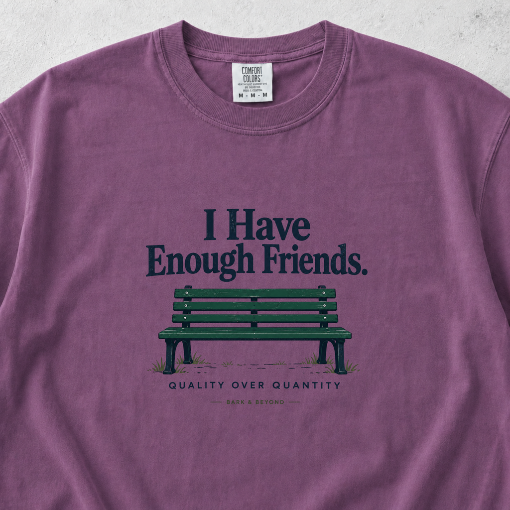 I Have Enough Friends T-shirt