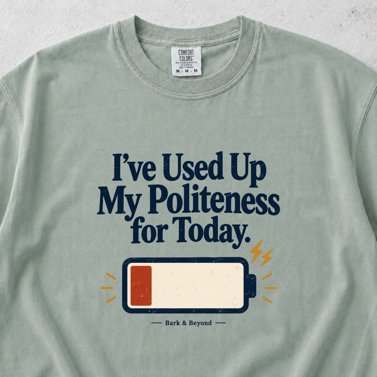 Used Up My Politeness T-shirt