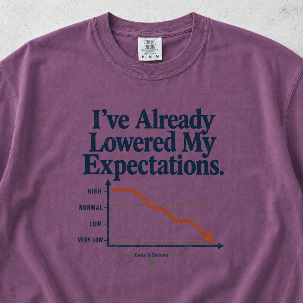 I've Already Lowered My Expectations T-shirt