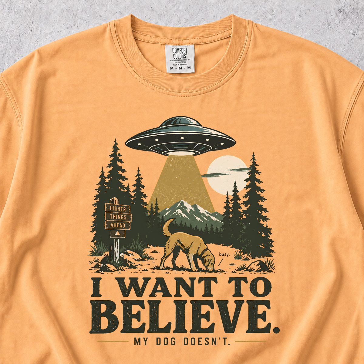 I Want To Believe T-shirt