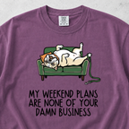 Weekend Plans T-shirt